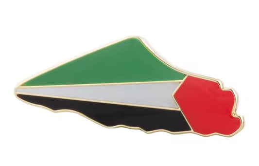 Palestina Kart Pin